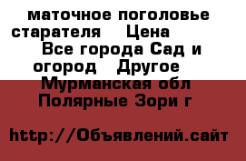 маточное поголовье старателя  › Цена ­ 3 700 - Все города Сад и огород » Другое   . Мурманская обл.,Полярные Зори г.